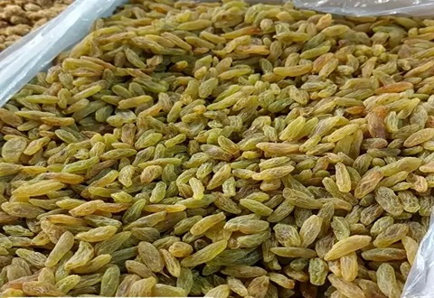 تصویر 2 از قیمت کشمش سبز قلمی با کیفیت ارزان + خرید عمده